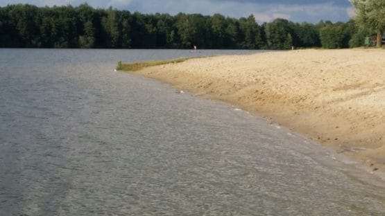 Strand des Drilandsees