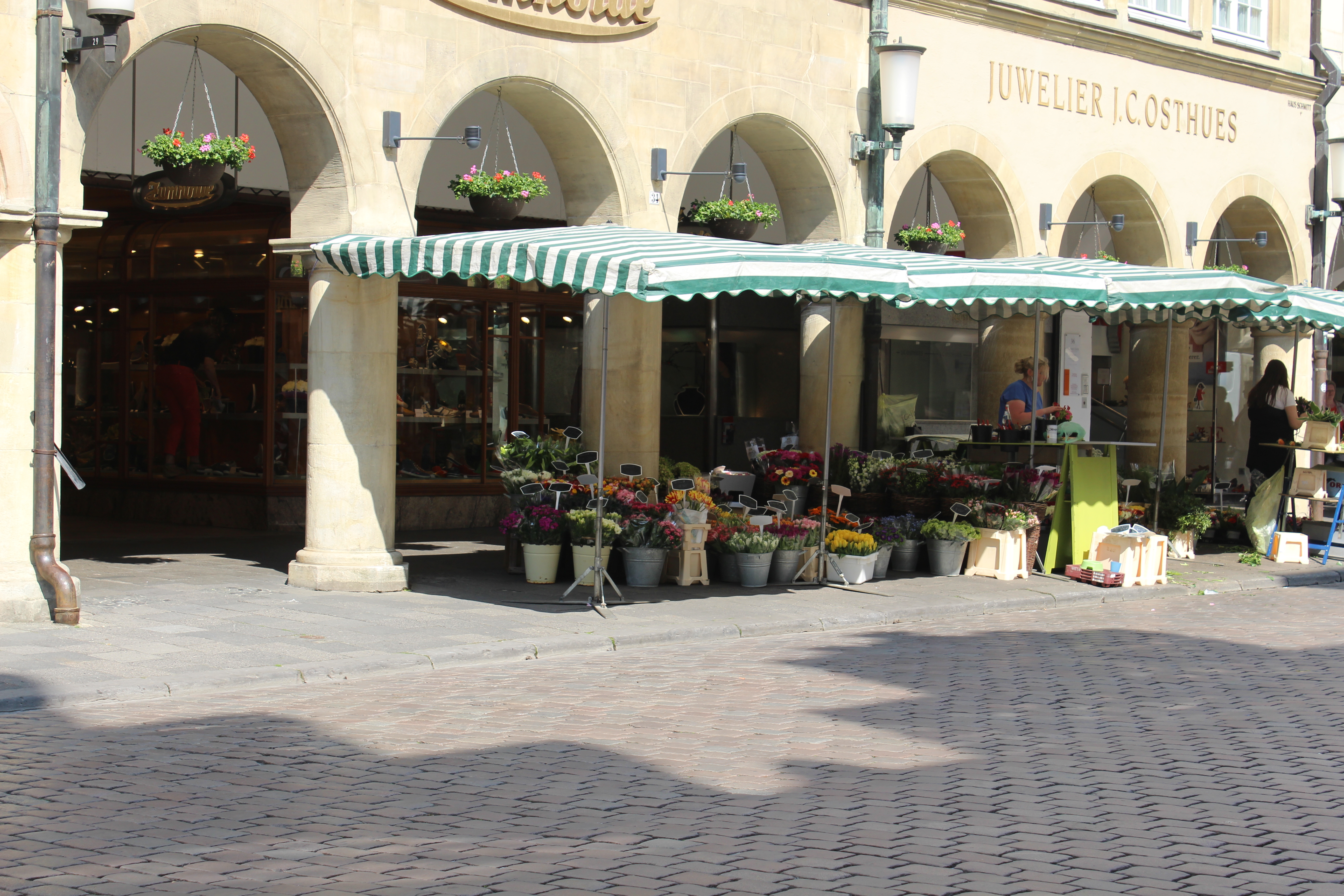 Blumenstand_Prinzipalmarkt